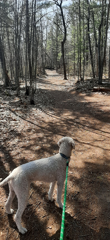 Petawawa Terrace Provincial Park: A Historical Park in Beautiful ...